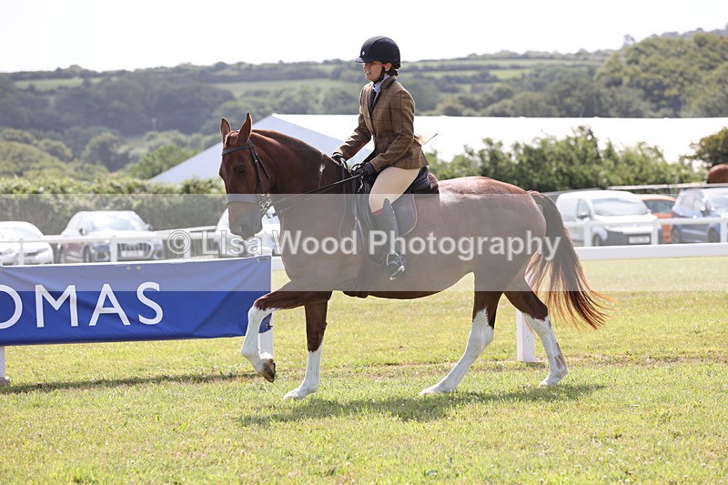 JPP_1385 - Class 17: Cornish Combination Open