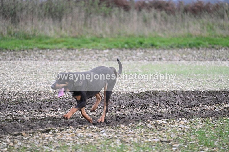 WJ7_0260 - Camera 1 & Last fence