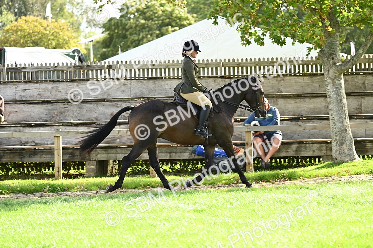 SBM_01791 - S2 - TSR Ridden Horse Showing