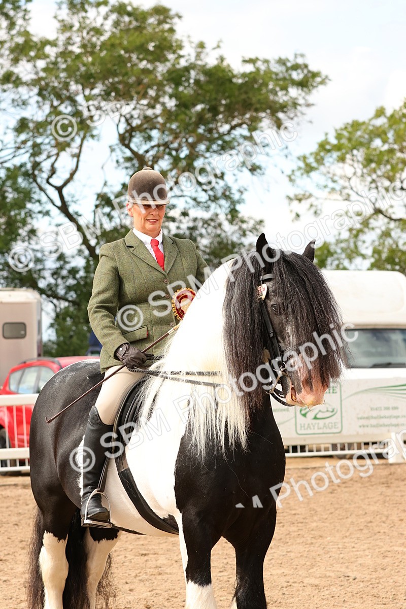 SBM_15722 - Class 215 - Ridden Traditional - Native Cobs