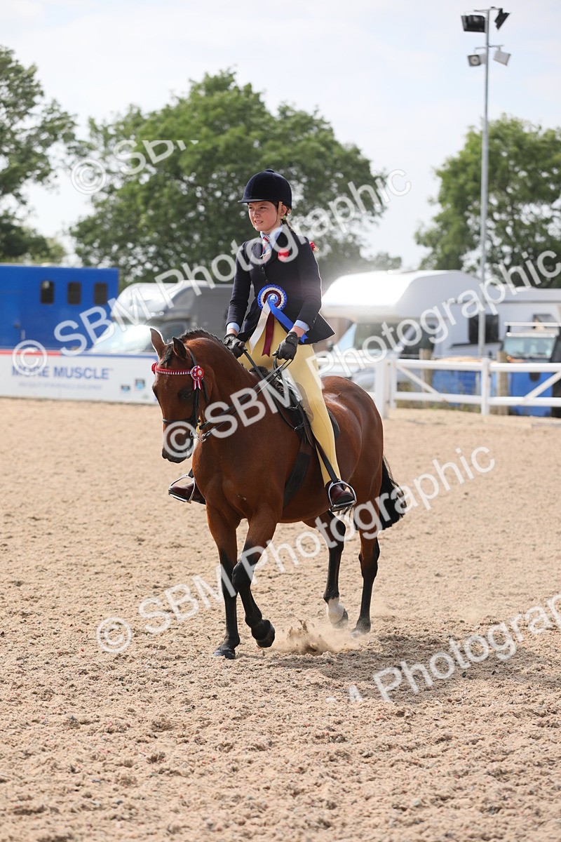 SBM_15628 - Class 311 Ridden Show Pony/ Show Hunter Pony