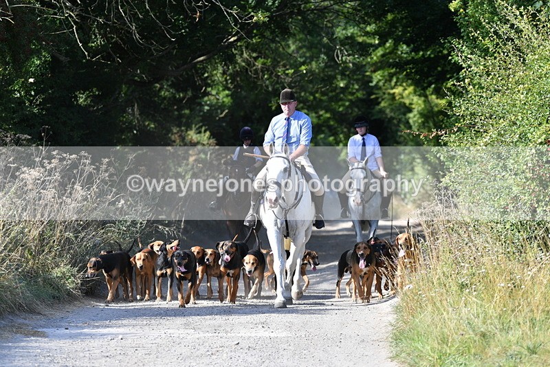 WJ5_4776 - Walk out with the hounds