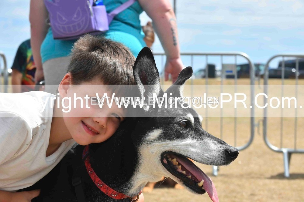 SH4_0112 - Dog show.