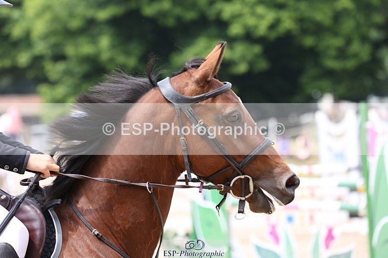 230617-123623-04350 - Cls 09 Blue Chip Pony Newc 1st Rnd