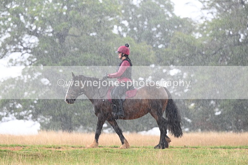 DSC_2943 - Time at Statue 12:59 to 13:49