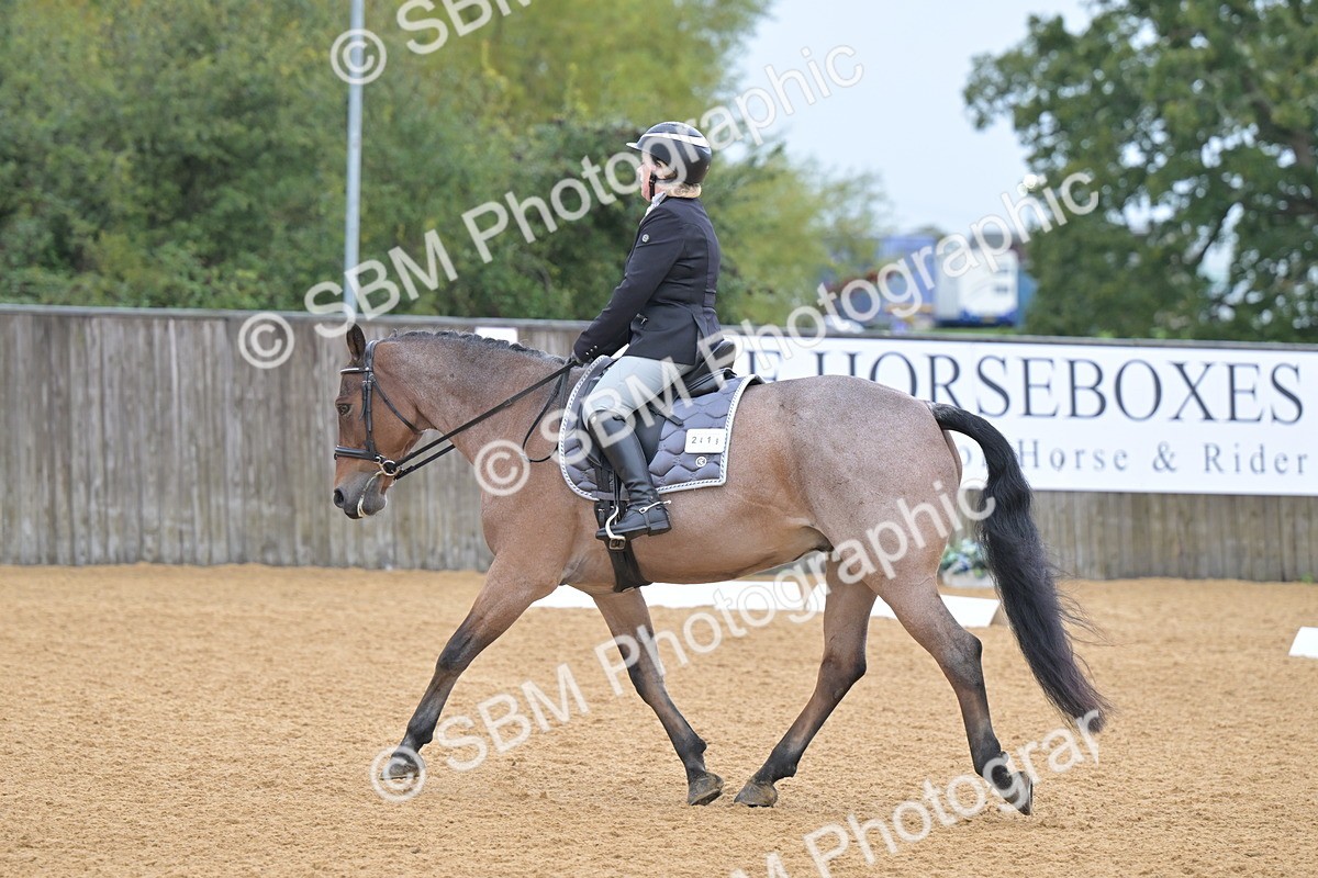 SBM_00528 - D2 - Small Tour Championship Intro 2