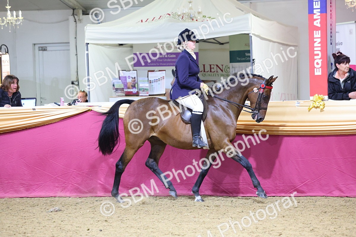 SBM_19000 - Class G Ridden Pony Champ