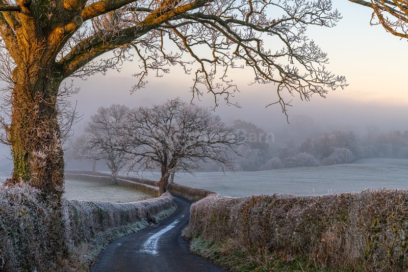 Frosty Mist in the Eden Valley (Newby) - Cumbria