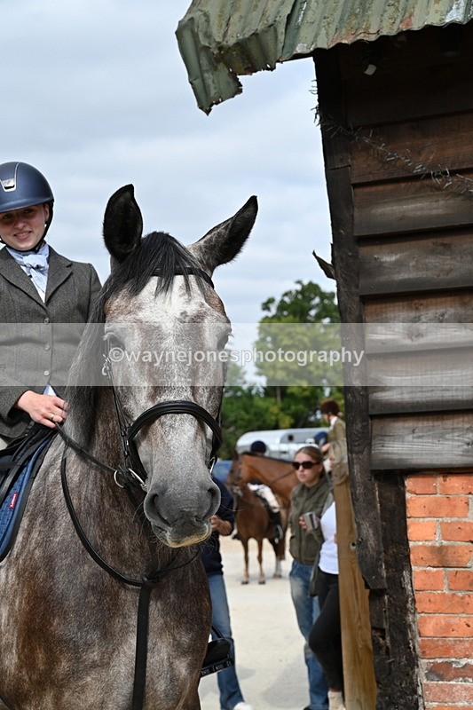 WJ6_3369 - Berks & Bucks - The Old farmhouse - Hound Exercise 20-08-25