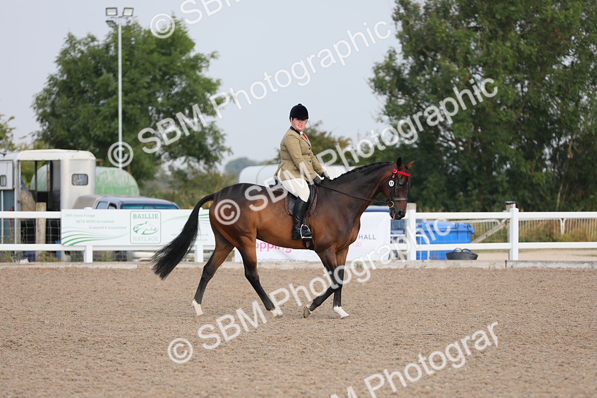 SBM_10648 - Class 303 Ridden Pure Bred Horse/Pony (excl M&M)