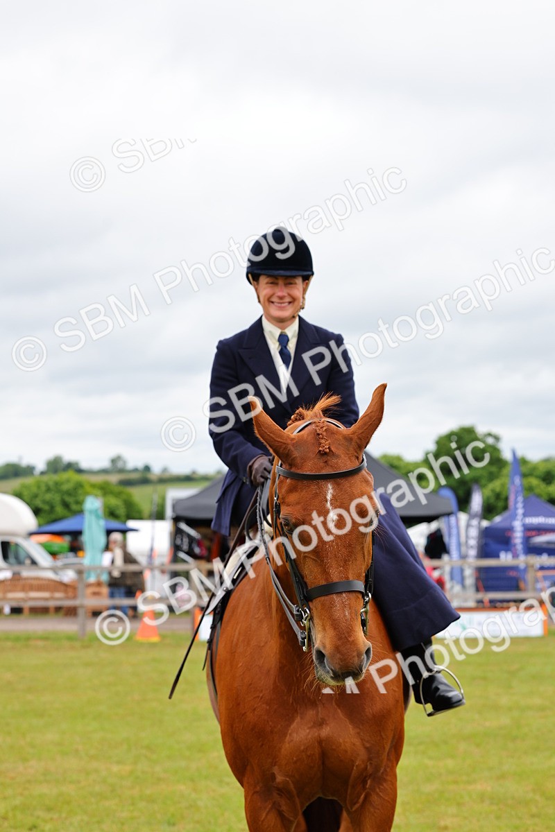SBM_02774 - Class 9-11 Side Saddle including LIHS Rising Star Ladies Show Horse