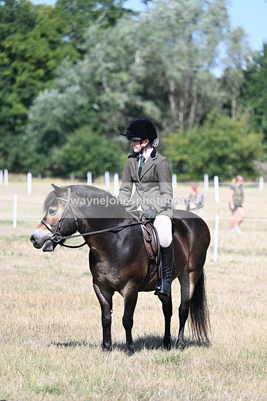 WJ7_4115 - Class 9 Mountain & Moorland Ridden