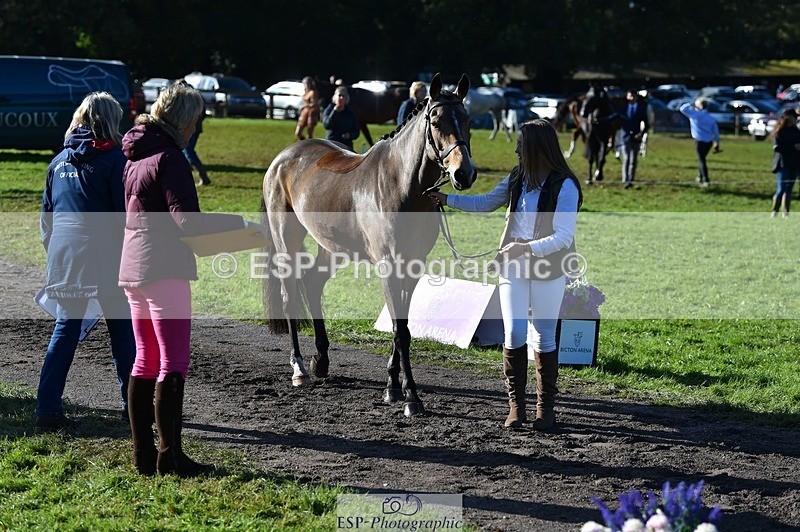 231022-111556-23846 - 558-BATHLEYHILLS.GOLDEN.SPRAY-Cleo.Whitbread-TrotUp+SJ