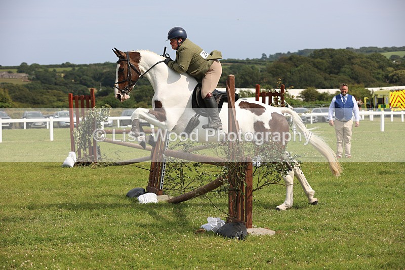 JPP_4042 - Class 24: Working Hunter 90cm