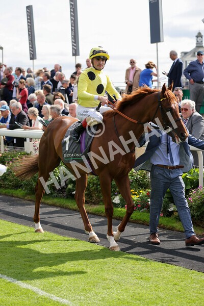 yr18082021r4-43 - Race 4 3.35pm Juddmonte International Stakes (British Champion Series race)