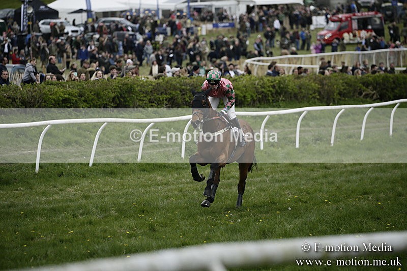 PtP 170417 555 - Old Berks Point-to-Point Lockinge 17/04/17