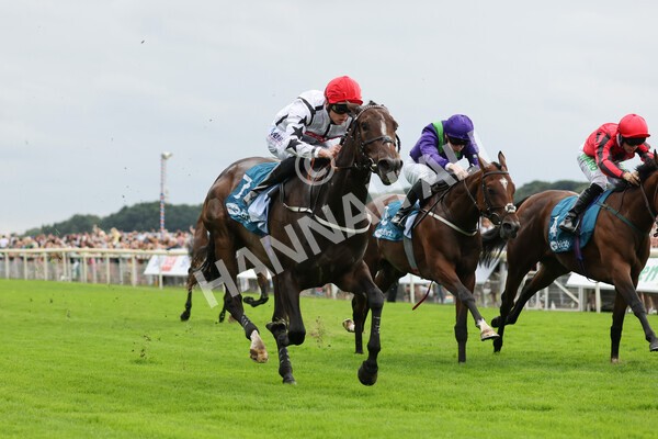 yr04092022r4-19 - Race 4 3.30pm Federation of Bloodstock Agents Nursery Handicap