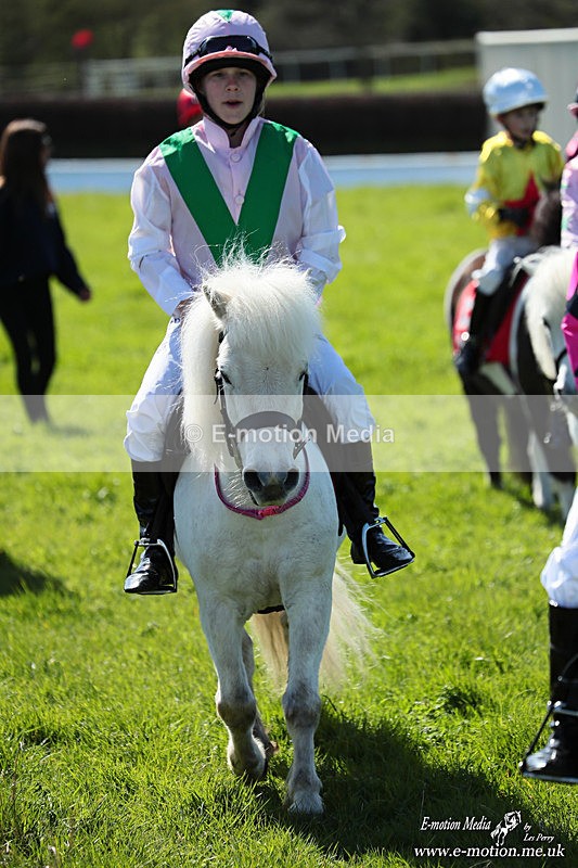 Shet 060426 217 - Shetland Pony Racing Paxford Races Easter Mon 06/04/26
