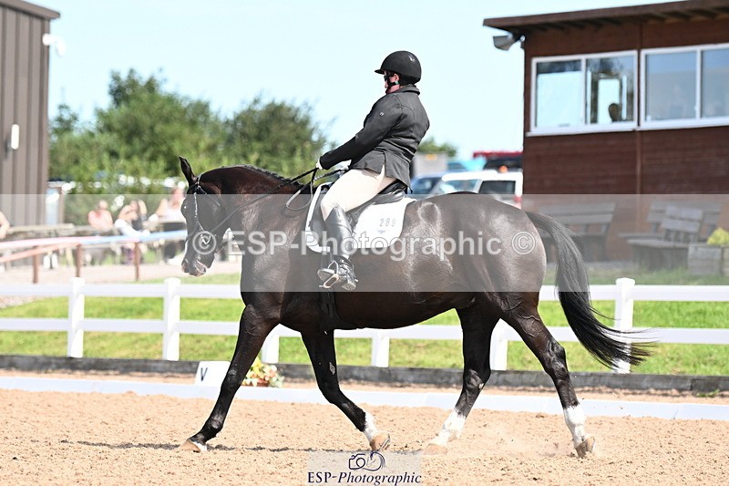 240816A-121454-04848 - 289-Rosey.Bradburn-High.Spirits.II