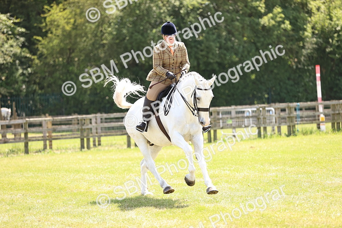 SBM_16151 - Class 79-80 - LIHS BSHA Rising Star Ridden Hunter