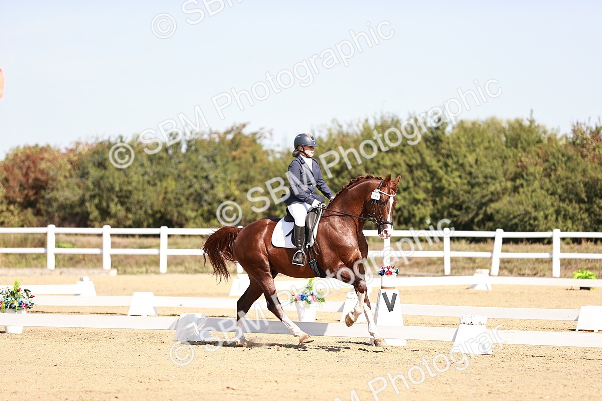 SBM_004444 - Class 12 - Novice 5 - 10.31-11.41