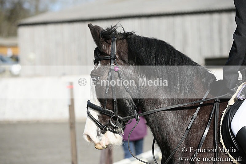 BVRC SJ 170319 13 - Bourne Valley Riding Club Showjumping 17/03/19