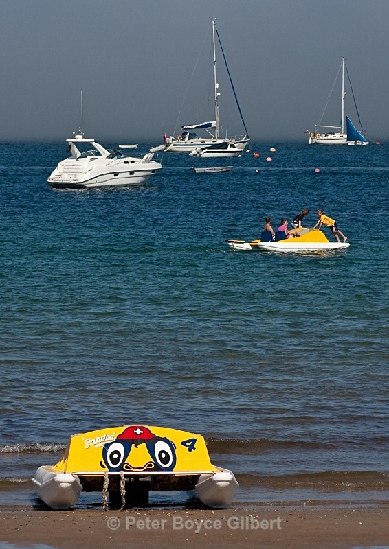 'Sandra on the shore' - The Coast