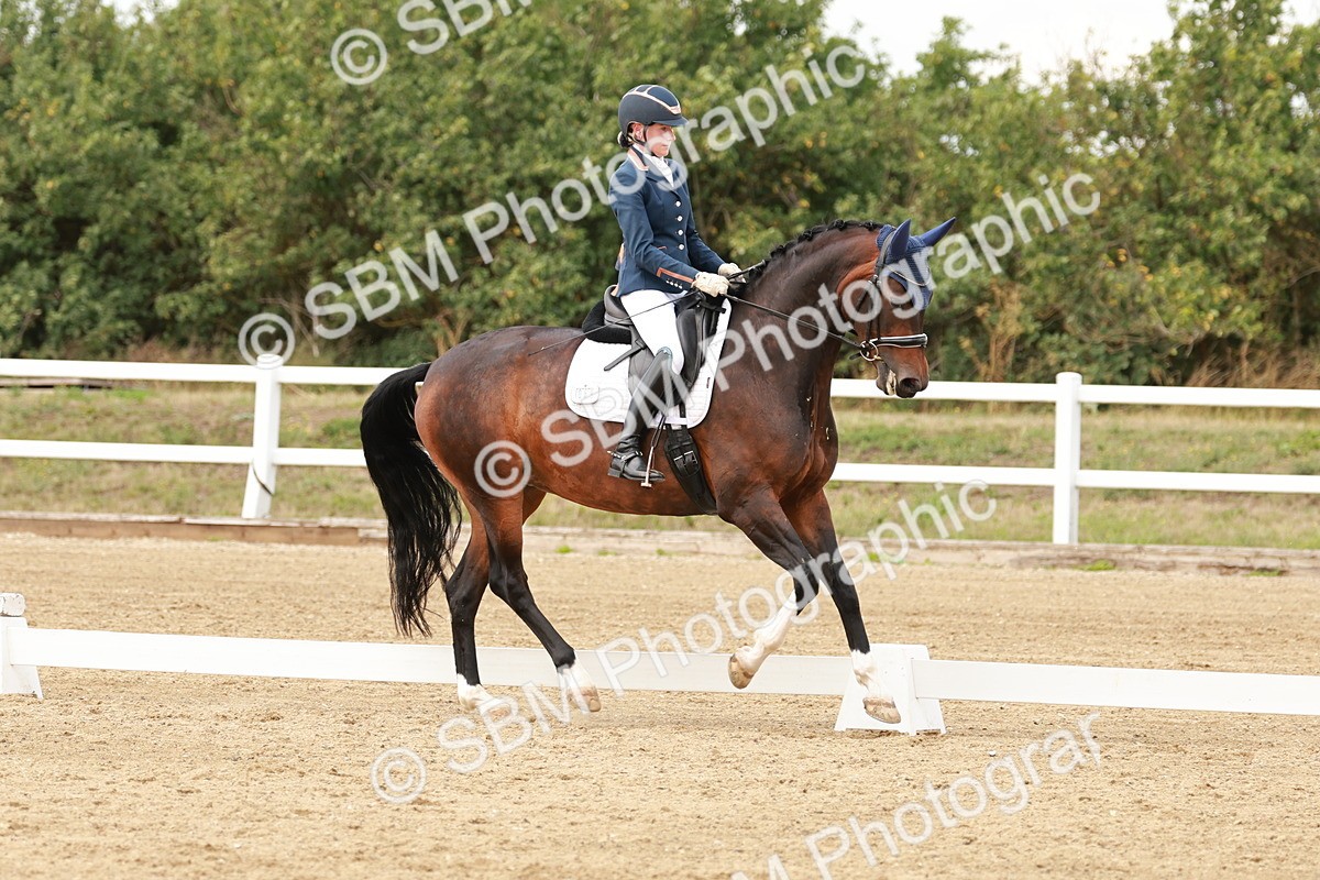 SBM_002187 - Class 11 - Medium 6