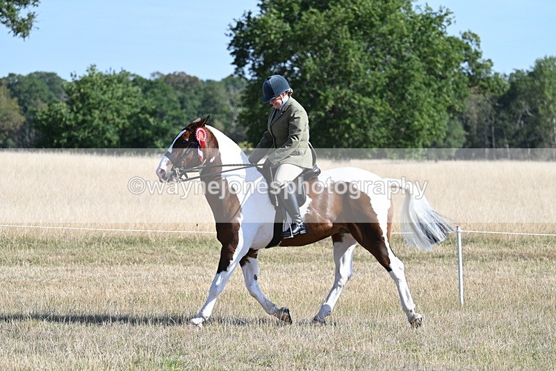 WJ7_3225 - Class 8 Ridden Tack & Turnout