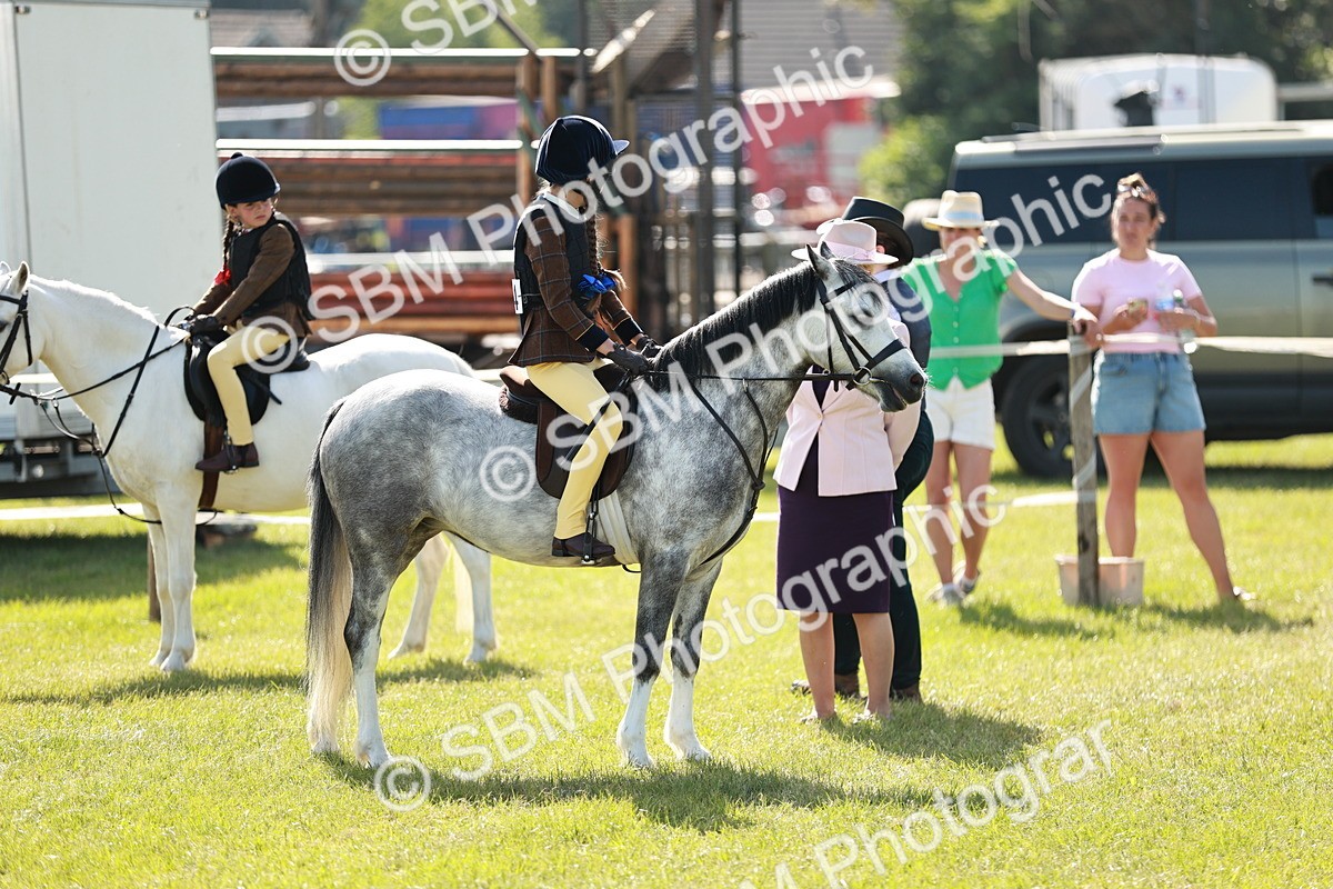 SBM_12645 - Class 106-107 - BSPS LIHS Working Sports Pony