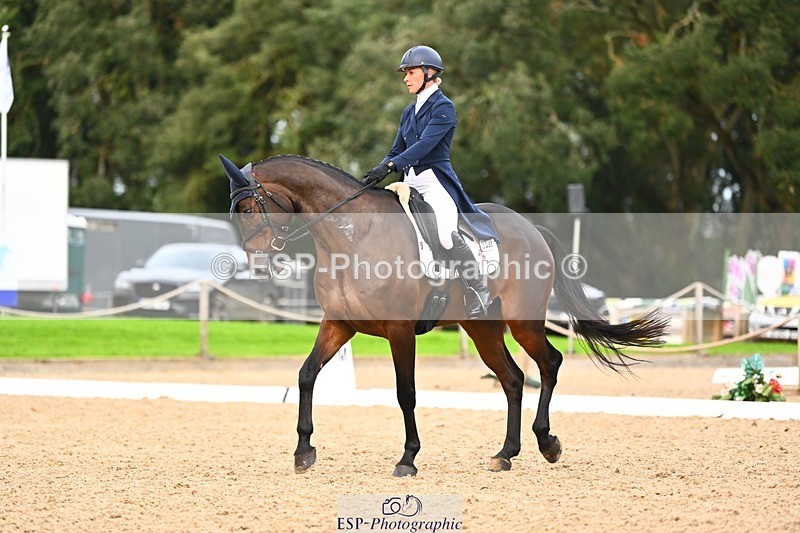 231020-162217-12236 - 338-GLOBAL.CANDY.BOY-Georgie.Campbell-DR