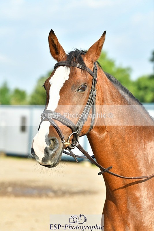 230817-083521-02422 - Stable Shots