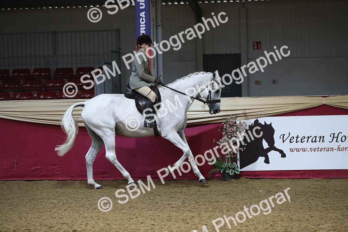 SBM_10390 - Class 102 Equitation (best rider) Adult