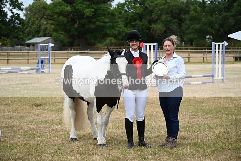 WJ6_4450 - Class 10 Coloured In-hand