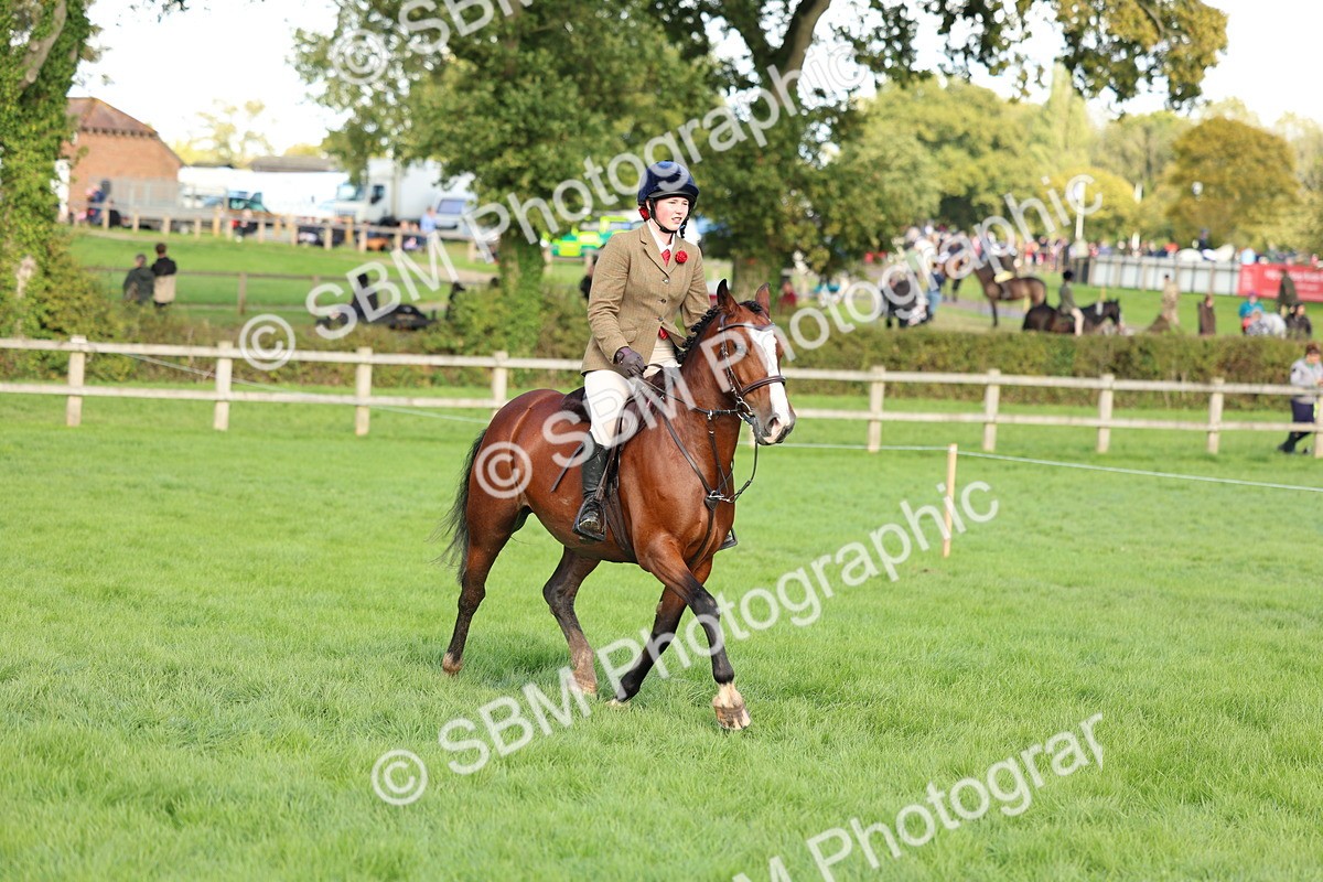 SBM_45502 - S33 - Working Hunter Pony
