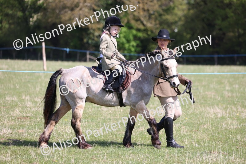 20250427-1559 - Class 31 - Leading Rein Pony