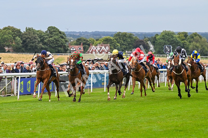 150824-Race 4-Opal Storm-8045 - Race 4