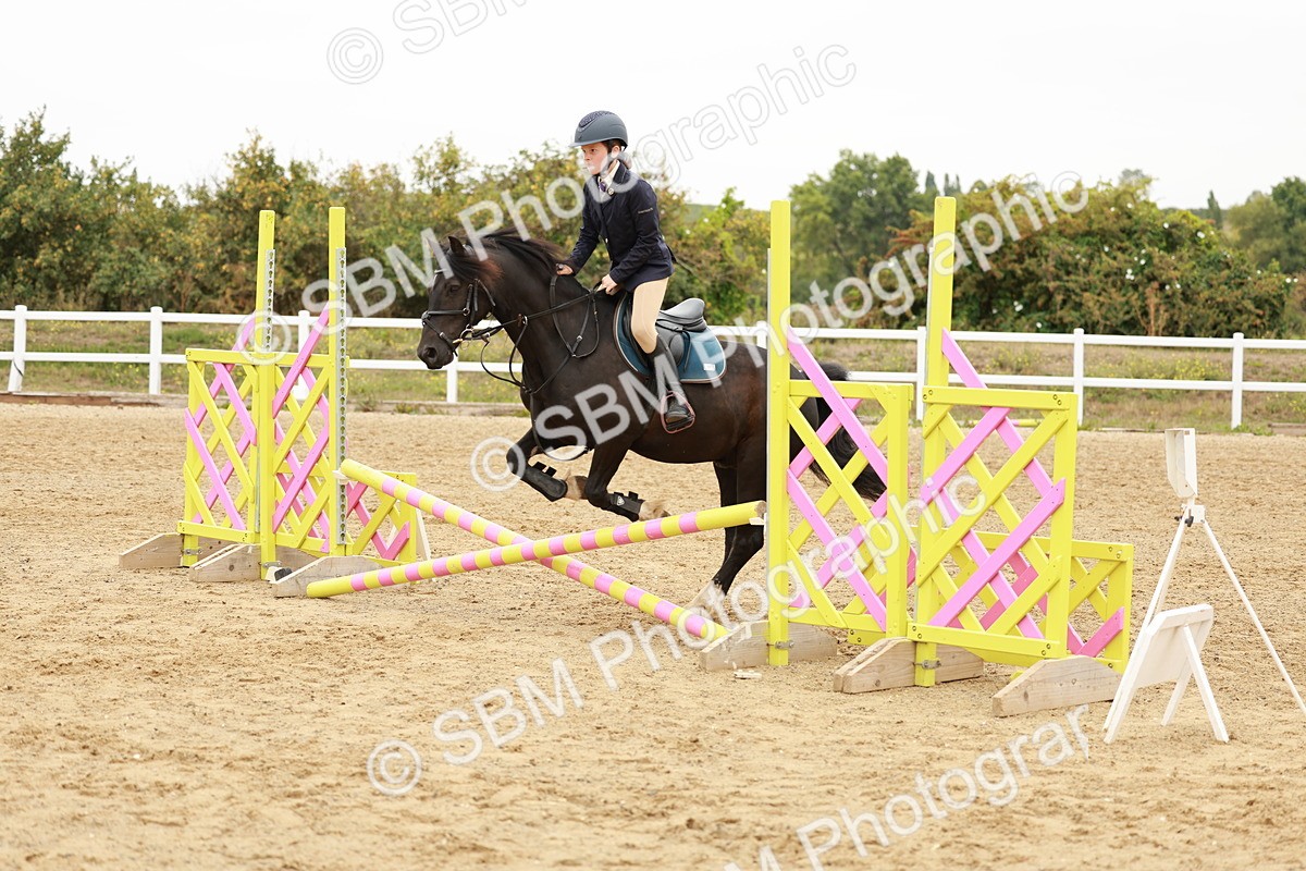 SBM_007386 - Class 2 - 50cm