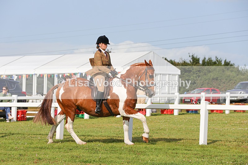 1X9A3133 - Class 27:  Ridden Native/Trad Coloured Horse