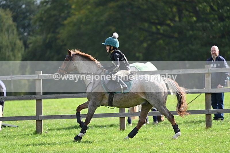 WJ7_4999 - 60cm Time 11:11 to 11:19