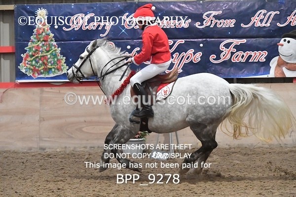 BPP_9278 - CLASS 5 60CM Progressive Show Jumping