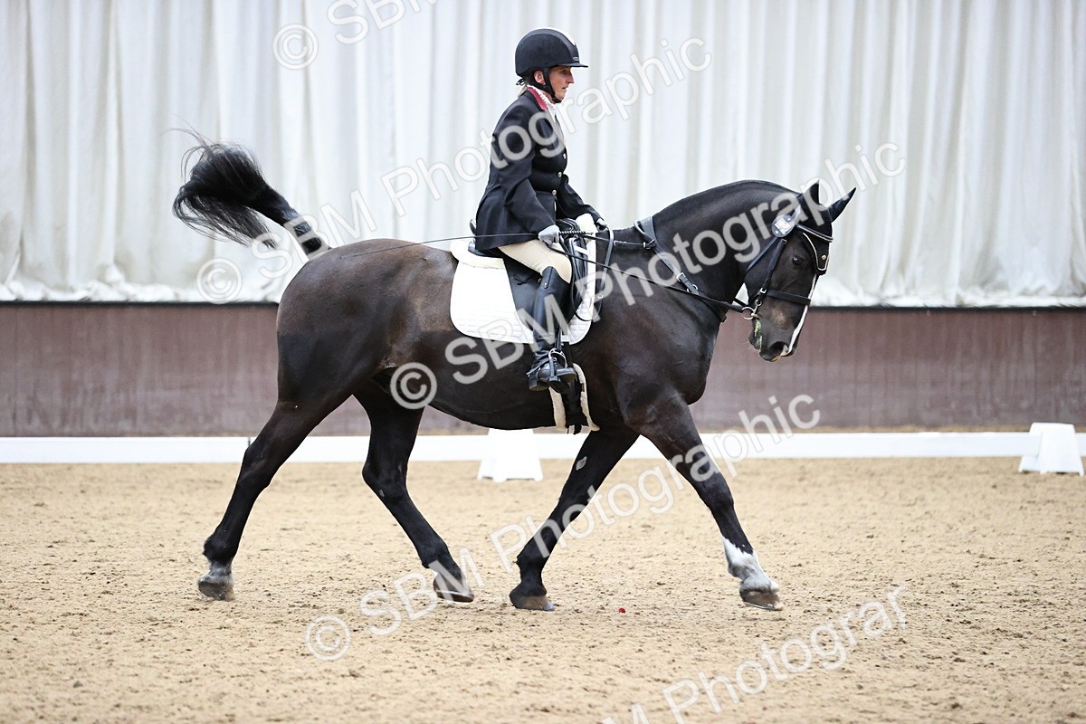 SBM_002768 - Class 6-9  - Novice 1-Elementary 1