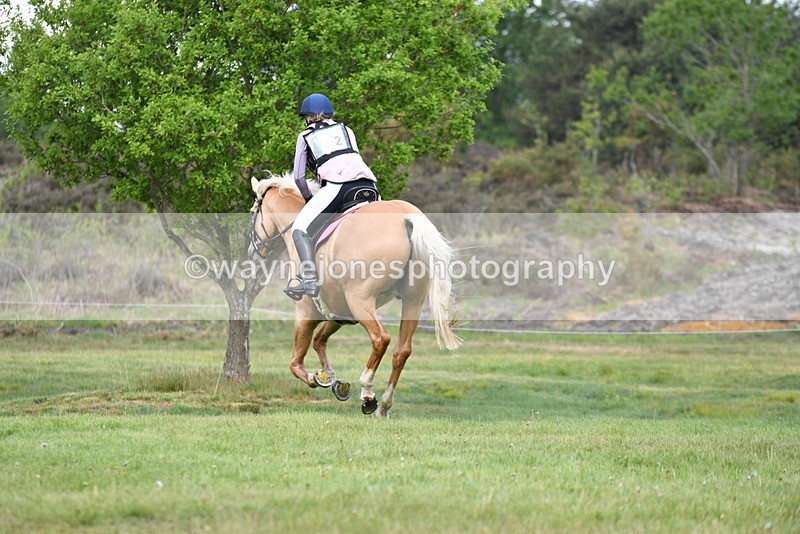 WJ5_4542 - Time 10:09 to 10:37