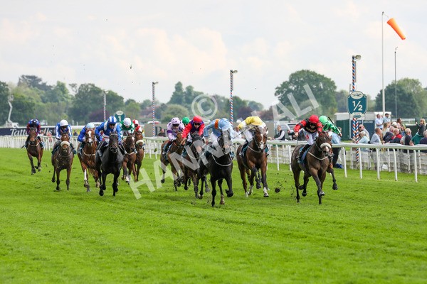150524-Race 5-Diligent Resdev-1539 - Race 5 4.15pm Conundrum HR Consulting Handicap