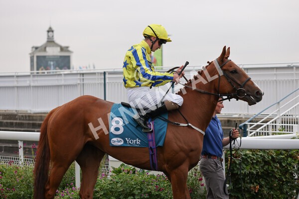 yr22072022r3-30 - Race 3 6.20pm Tomahawk Stakes