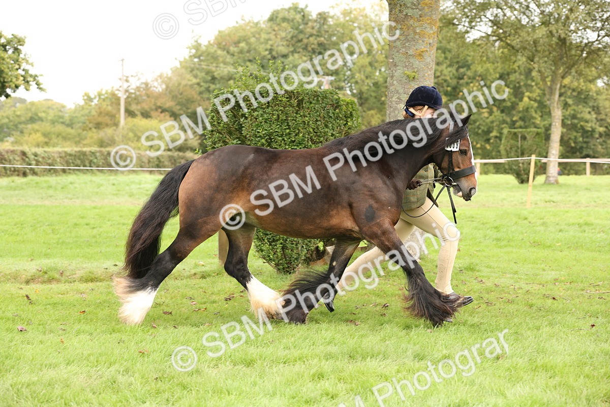 SBM_59280 - S57 - Traditional Cob In Hand