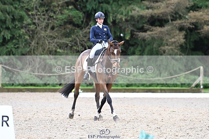 231019-122214-02737 - 044-COOLEY.ON.THE.CARDS-Charlotte.Cooke-DR