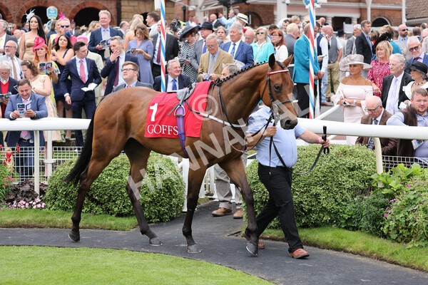 yr19082021r2-3 - Race 2 2.25pm Goffs UK Premier Yearling Stakes