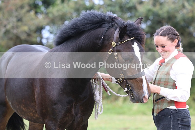 3E7A4248 - Class 15: Two Year Olds