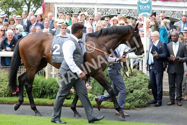 yr17082022r4-22 - Race 4 3.35pm Juddmonte International Stakes (British Champions Series Race)
